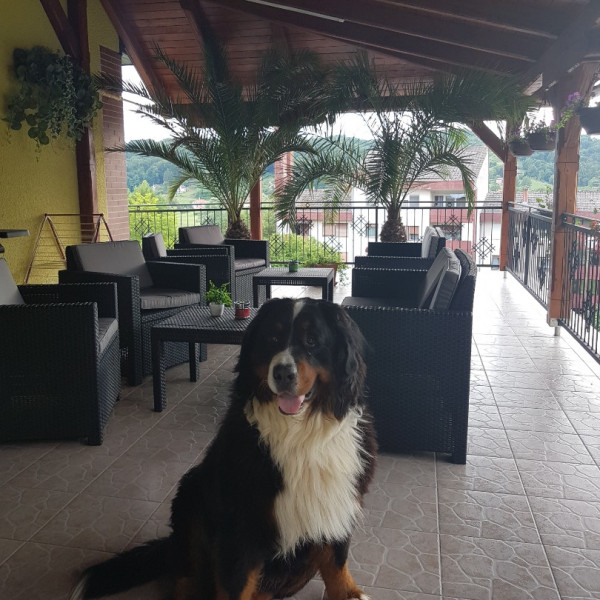 Apartmani Ksenija, Apartmani Ksenija Krapinske Toplice