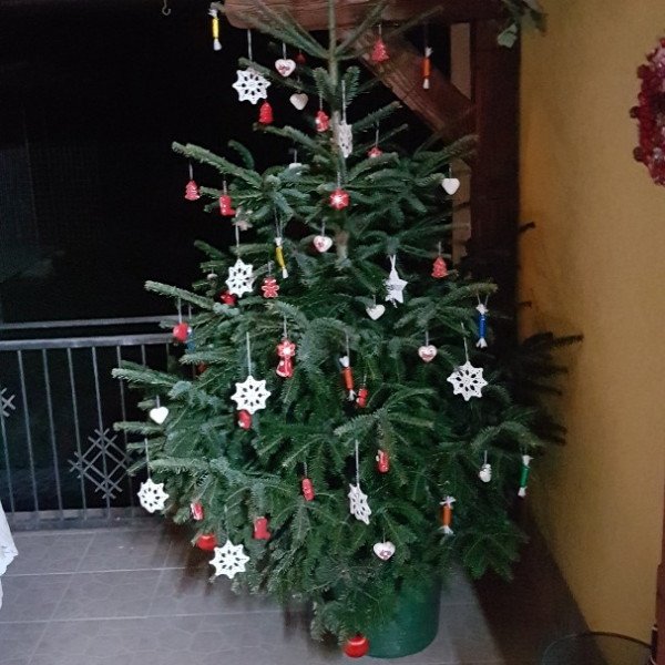 Apartmani Ksenija, Apartmani Ksenija Krapinske Toplice