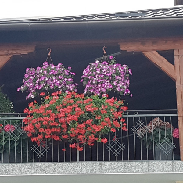Apartmani Ksenija, Apartmani Ksenija Krapinske Toplice